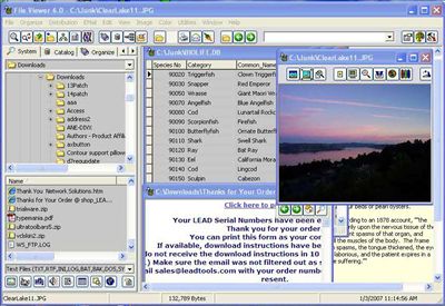 File Viewer - View, Print and Organize Pictures, Multimedia, Database